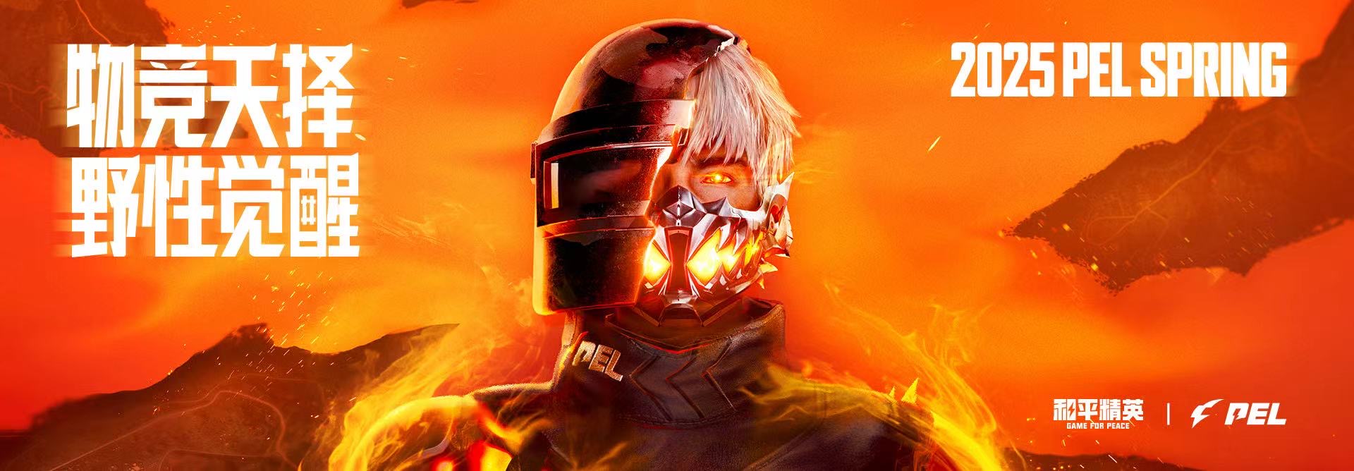 突破游戏界限:探索和平精英辅助工具的神秘世